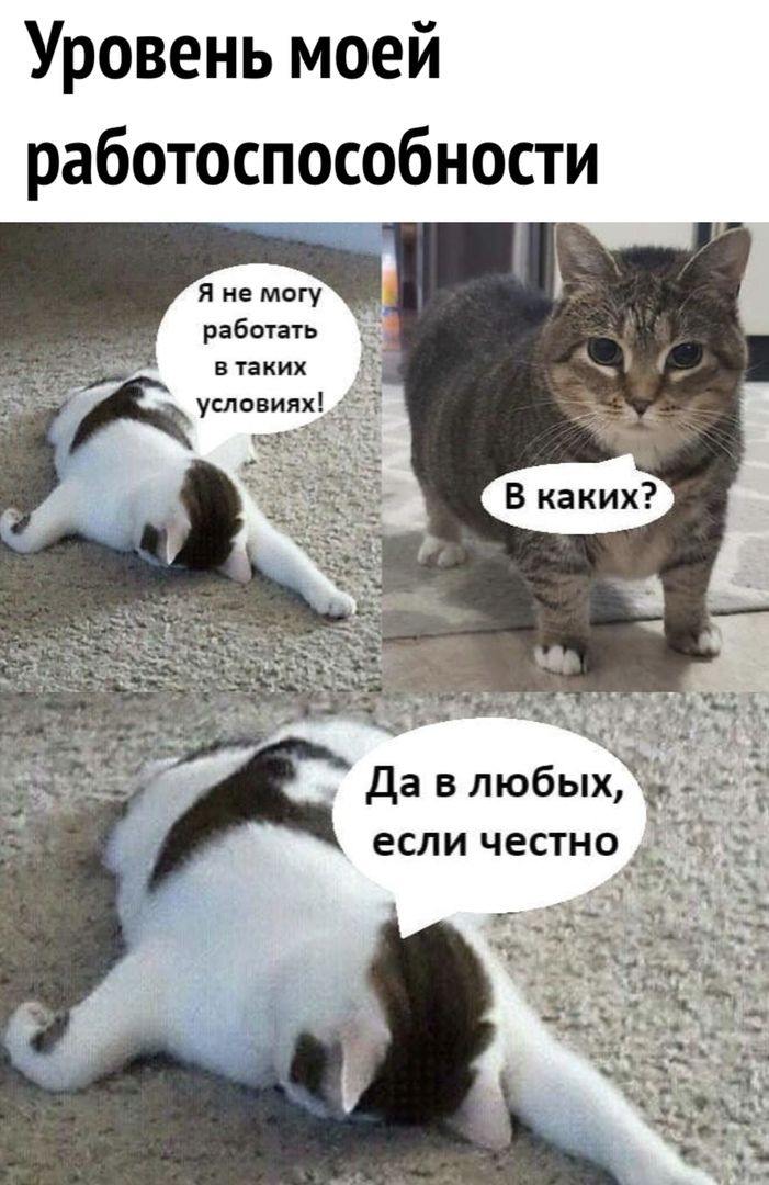 Уровень моей работоспособности 1 Я не могу Ъ работать в таких условиях