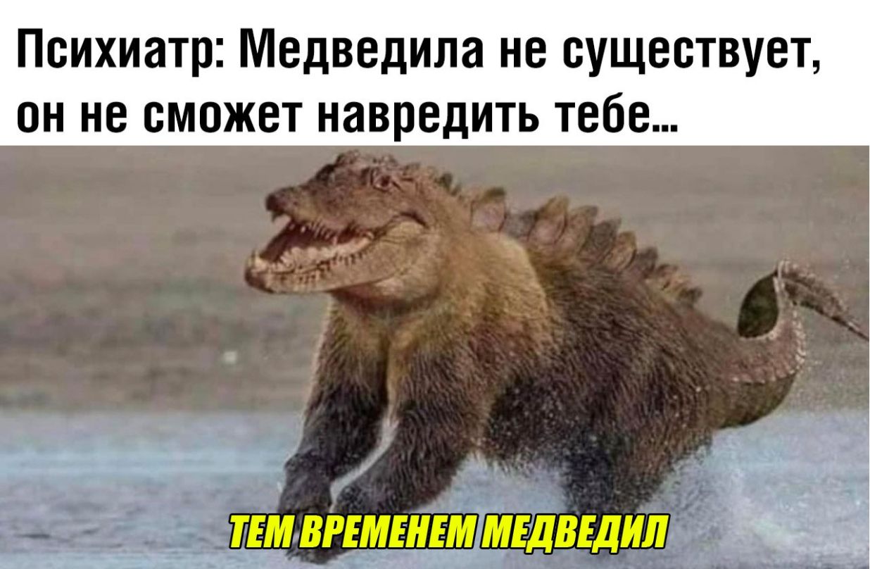 Психиатр Медведила не существует он не сможет навредить тебе еж ТЕМ ВРЕМЕНЕМ МЕДВЕДИЛ