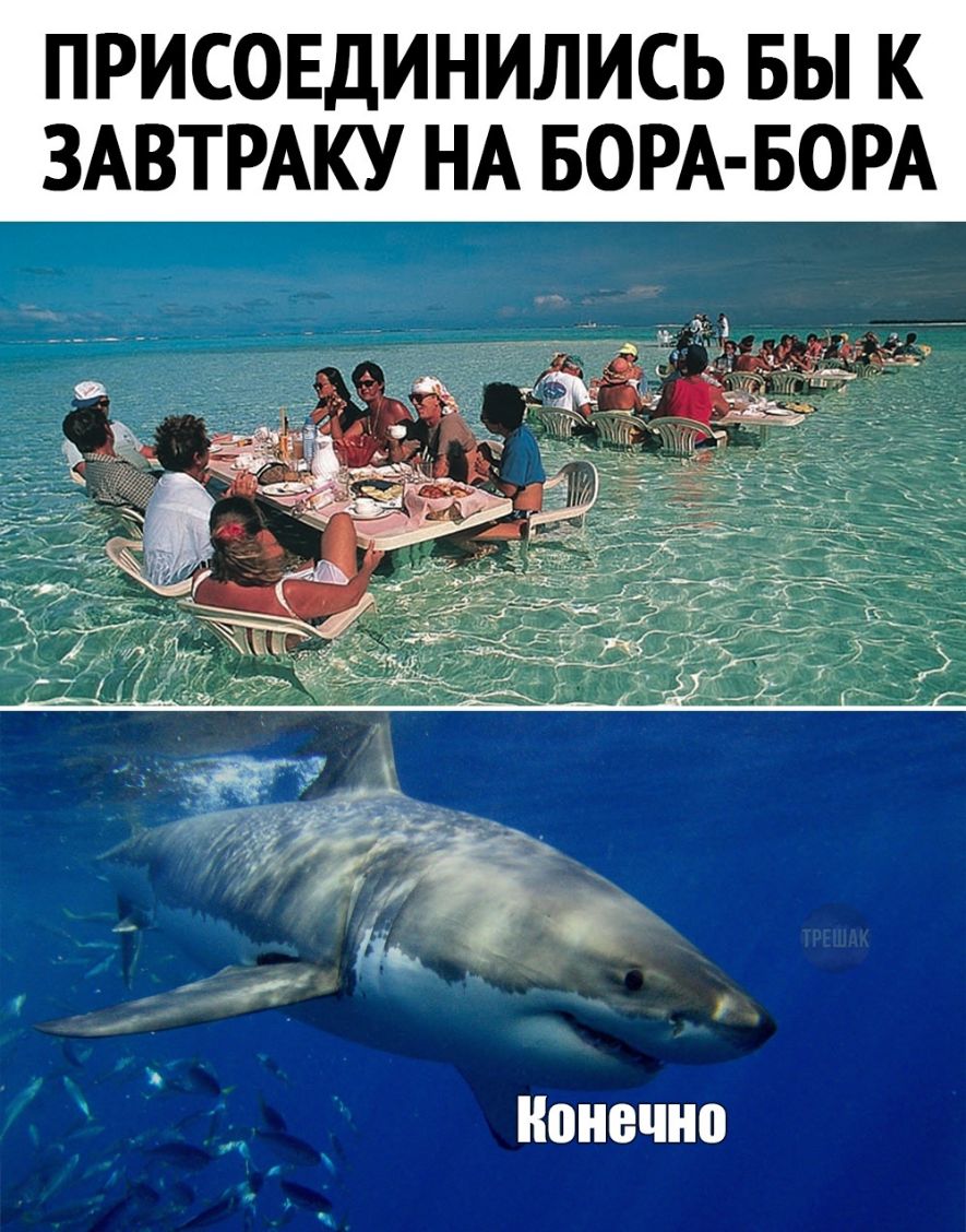 ПРИСОЕДИНИЛИСЬ БЫ К ЗАВТРАКУ НА БОРА БОРА