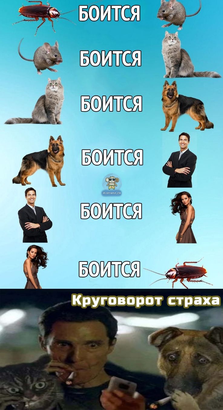 вшится ИТС П 1