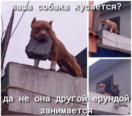 да_не она другой занимаетс