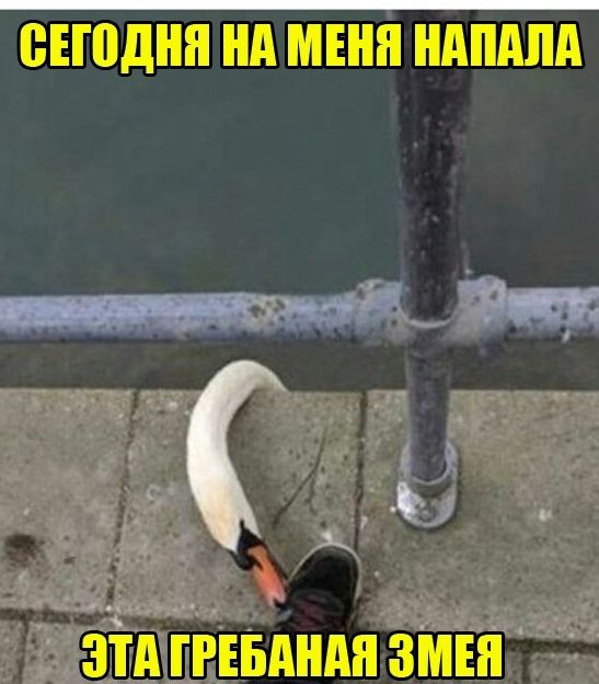 ВЕШДНП нд МЕНЯ ндпдпд іідтвдндн змні