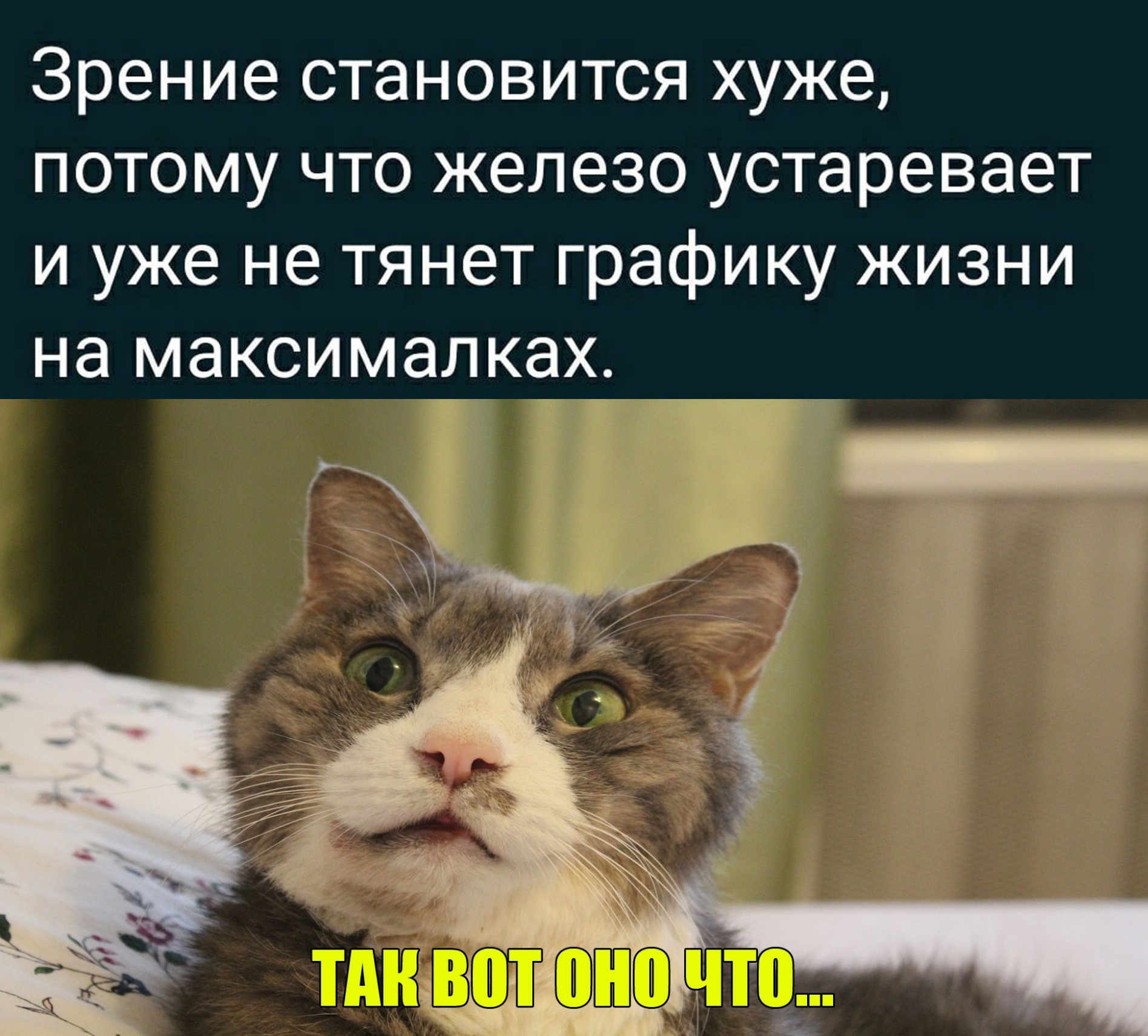 Зрение становится хуже потому что железо устаревает и уже не тянет графику жизни на максималках