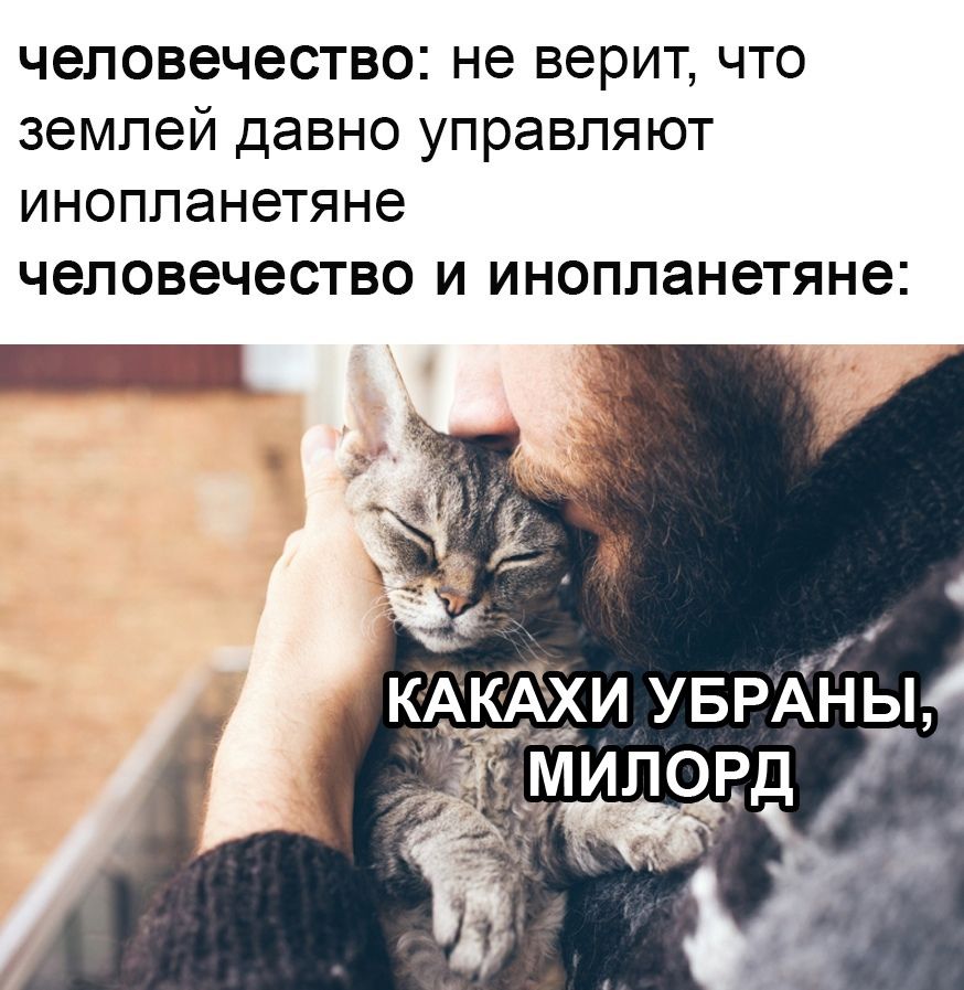 человечество не верит что землей давно управляют инопланетяне ЧЭЛОВЭЧЭСТВО И ИНОППЭНЭТЯНЭ