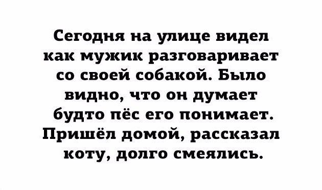 Сегодня на улице видел как мужик разговаривает со своей собакой Было видно что он думает будто пёс его понимает Пришёл домой рассказал коту долго смеялись