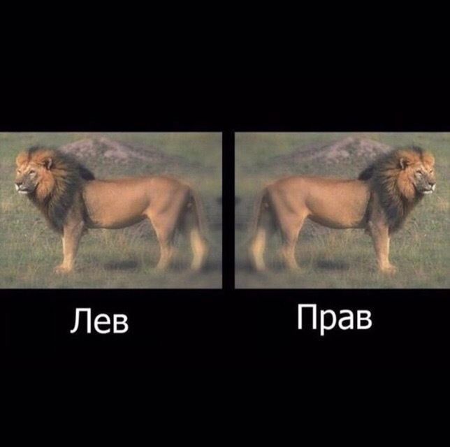 Прав ев Л