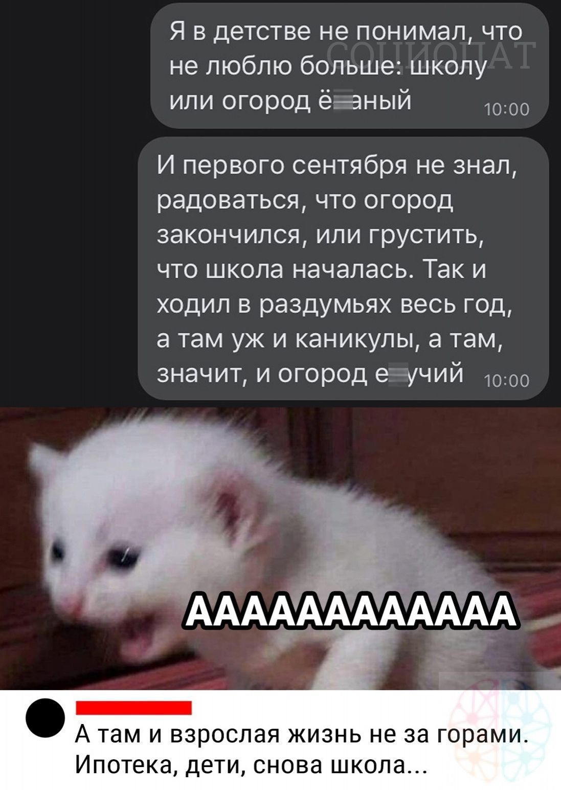 Я в детстве не понимал что не люблю больше школу или огород ёаный 1000 И первого сентября не знал радоваться что огород закончился или грустить что школа началась Так и ходил в раздумьях весь год а там уж и каникулы а там значит и огород еучий А там и взрослая жизнь не за горами Ипотека дети снова школа