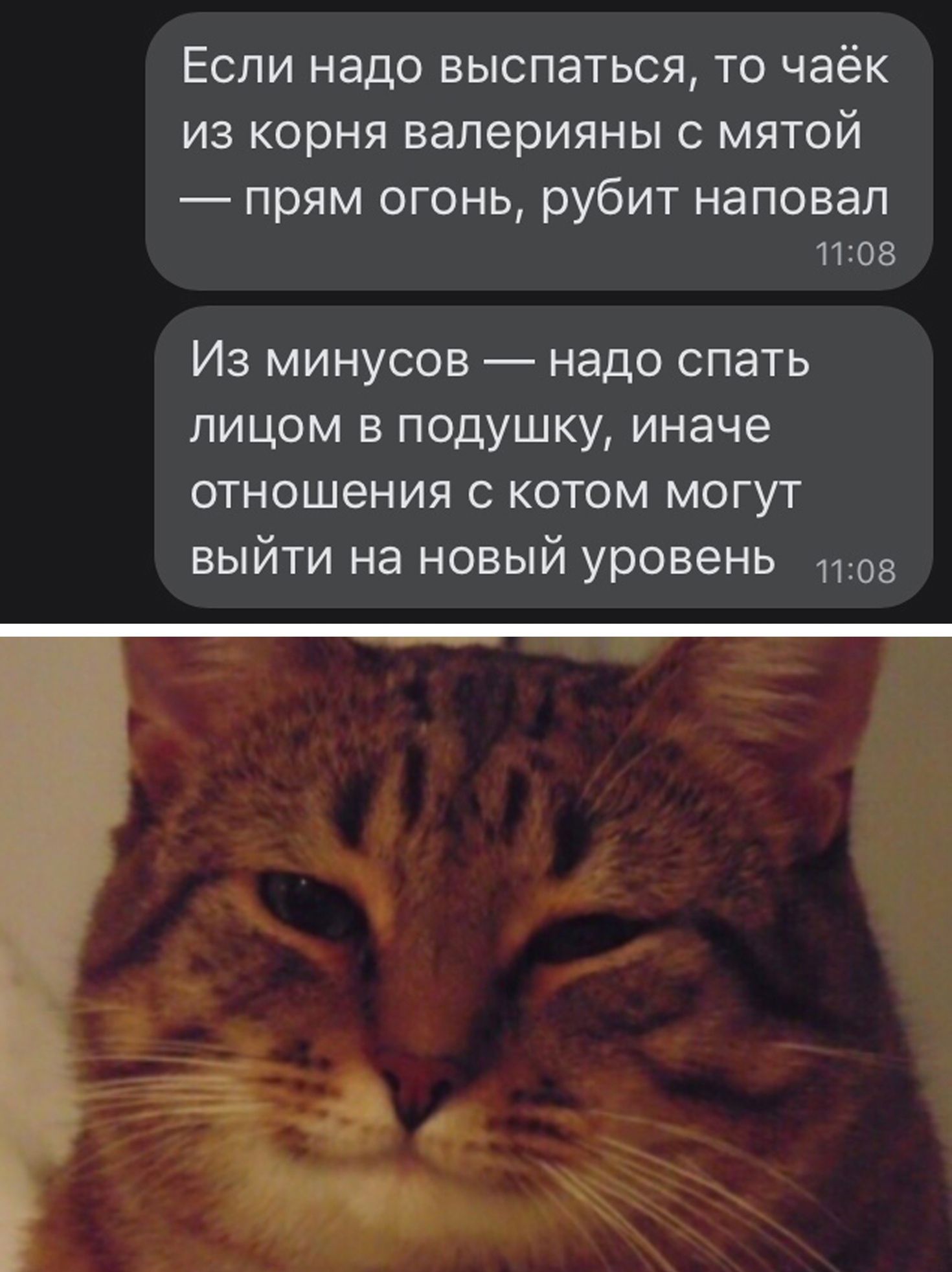 ЕСЛИ НЭДО ВЫСПЭТЬСЯ ТО ЧЭёК ИЗ КОРНЯ валерияны С МЯТОЙ _ ПРЯМ ОГОНЬ рубит НЭПОВЭЛ 1108 Из минусов надо спать лицом в подушку иначе отношения с котом могут выйти на новый уровень 1108