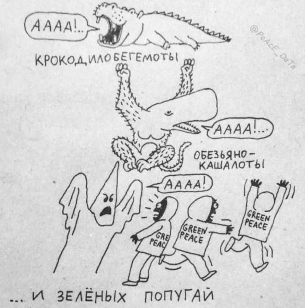 323 КРОКОАИАО БЕГЕМОТЫ 0553 ЬЯ НО 2 И ЗЕАЁных попугАи