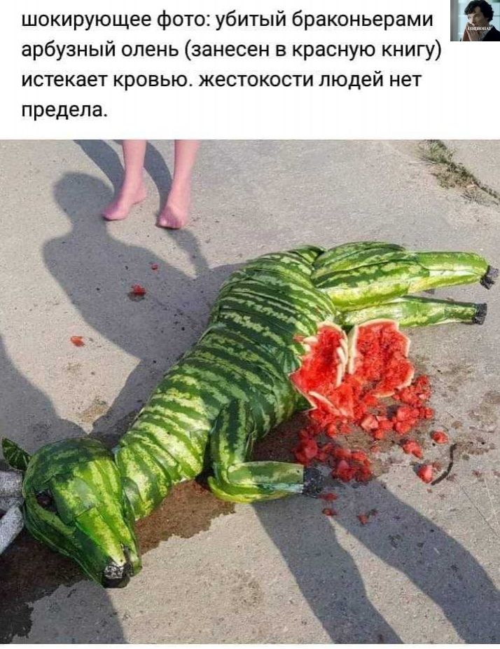 шокирующее фото убитый браконьерами арбузный олень занесен в красную книгу истекает кровью жестокости людей нет предела