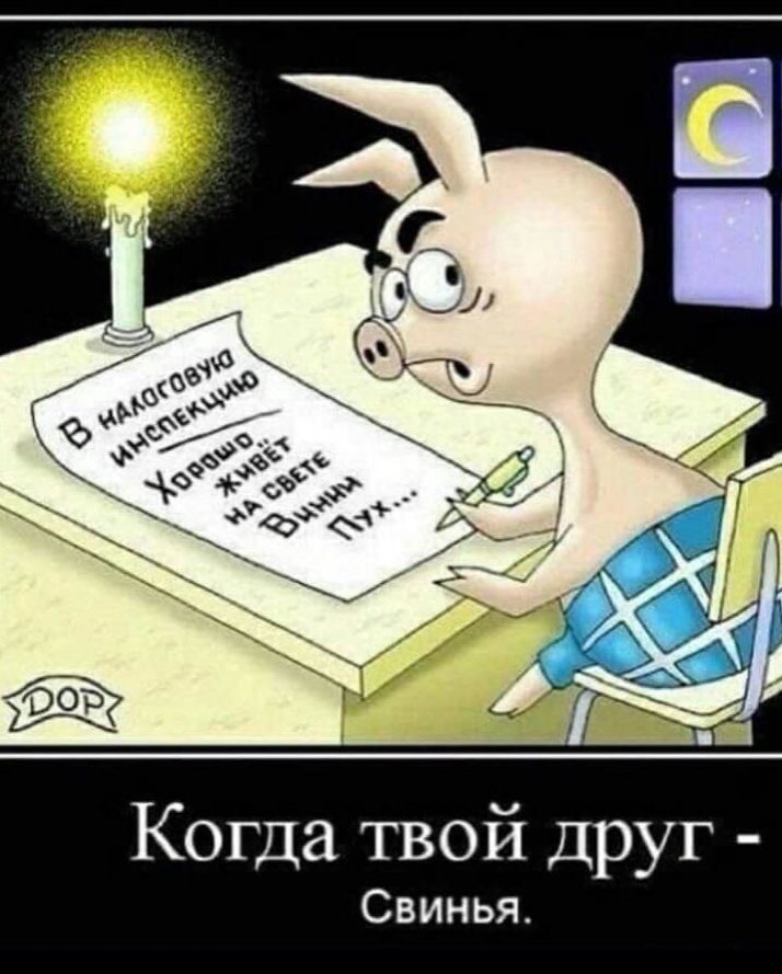 Когда твой друг Свинья