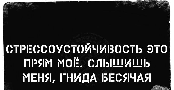 СТРЕССОУСТОЙЧИВОСТЬ ЭТО ПРЯМ МОЁ СЛЫЩИЩЬ МЕНЯ ГНИДА БЕСЯЧАЯ