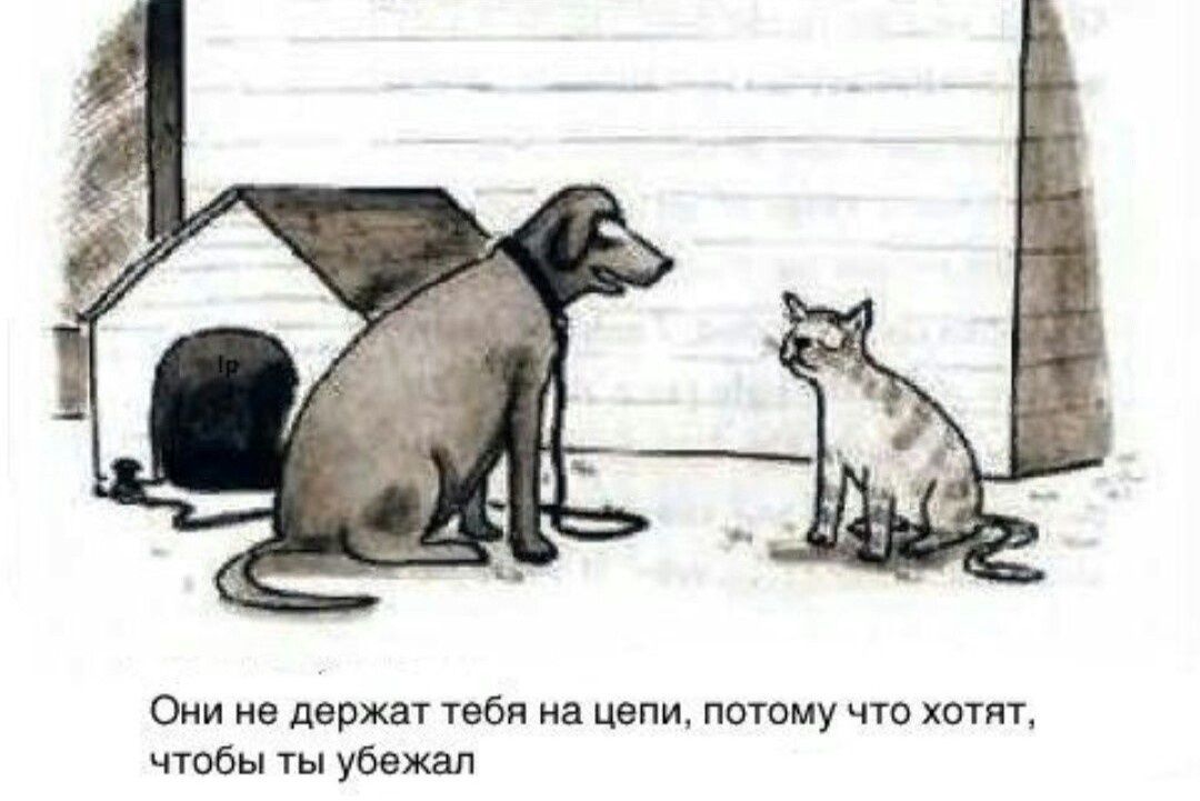 Они не держат тебя на цепи потому что хотят чтобы ты убежал