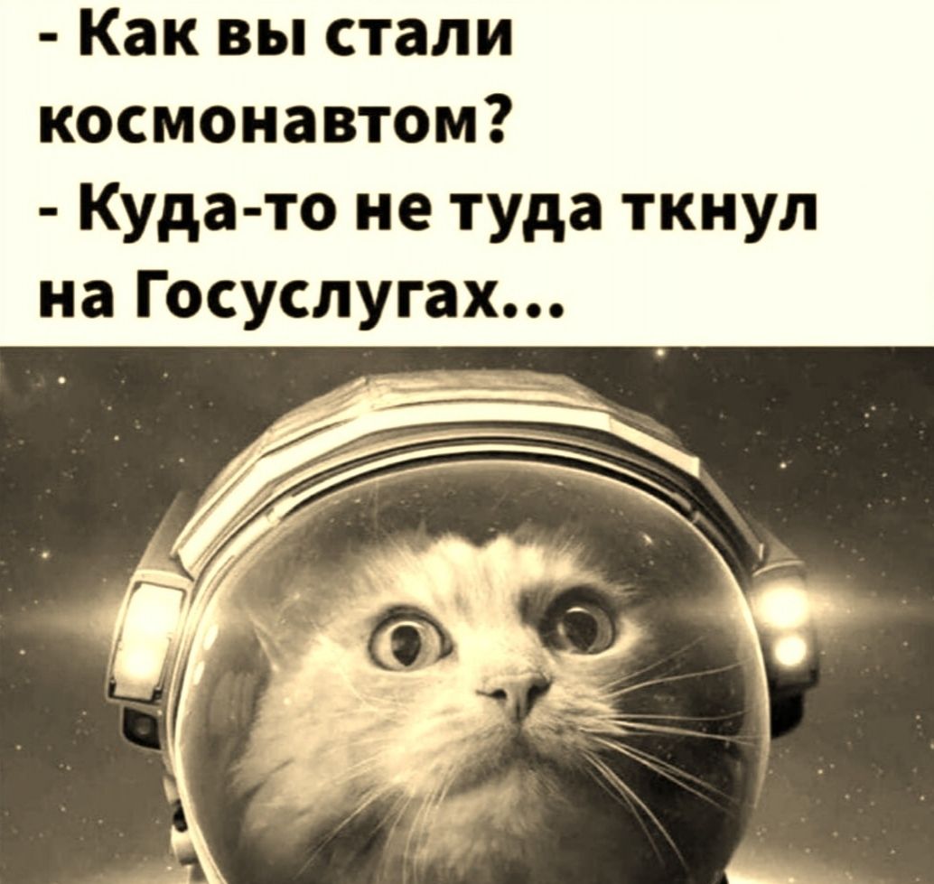 Как вы стали космонавтом Куда то не туда ткнул на Госуслугах