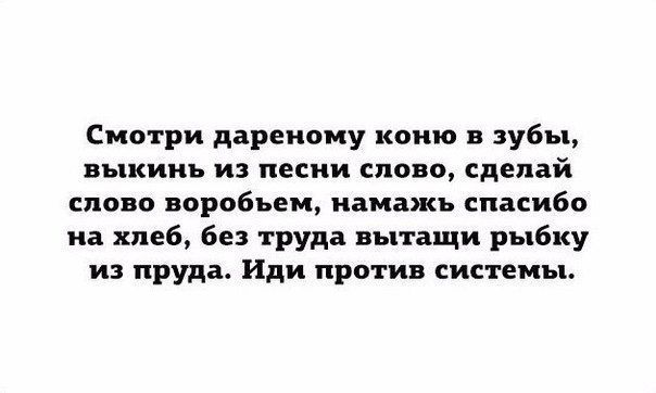 Смотри дареиому коию в зубы выкинь из песни слово сделай слово воробьем иамажь спасибо на хлеб без труда вытащи рыбку из пруда Иди против системы