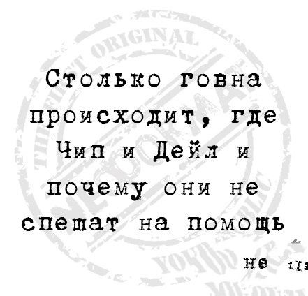 Столько говна происходит где Чип и Дейл и почему они не спешат на помощь не и