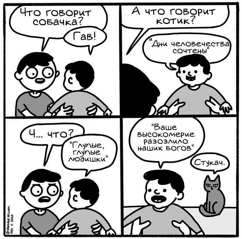 А что говорит КОТИК 7 и свщша и Что говорит совачка Бысо яомврие рваозммо наших вогоь