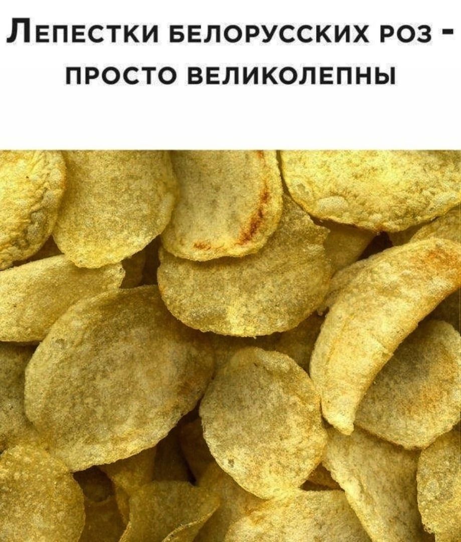ЛЕПЕСТКИ БЕЛОРУССКИХ РОЗ ПРОСТО ВЕЛИКОЛЕПНЫ