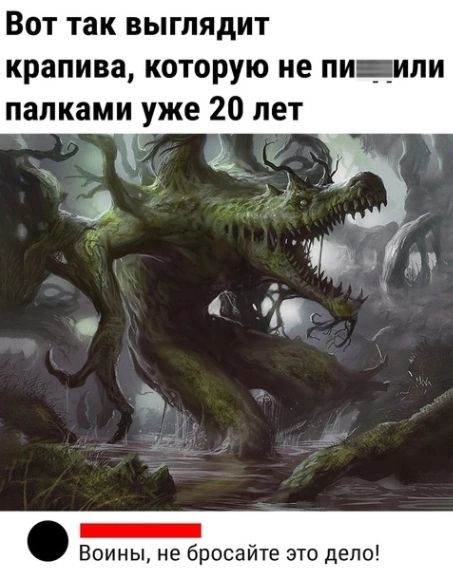 ВОТ так ВЫГЛЯдИТ крапива КОТОРУЮ ие М_ИЛИ палками уже 20 лет к Воины не бросайте это дело