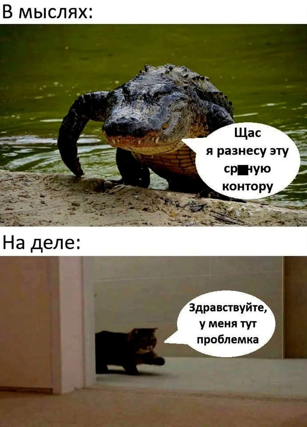 я рвзнесу эту СР контру здравствуйте у меня тут проблемка