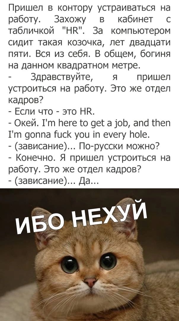 Пришел в контору устраиваться на работу Захожу в кабинет с табличкой НК За компьютером сидит такая козочка лет двадцати пяти Вся из себя В общем богиня на данном квадратном метре Здравсгвуйте я пришел усгроиться на работу Это же отдел кадров Если что это НК Окей Гт леге 0 дек а оЬ алс глеп Гт доппа Гцск уоц іп еуеш лоіе зависание По русски можно Конечно Я пришел устроиться на работу Это же отдел к