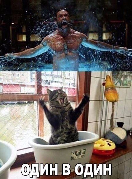 динв Ъдин