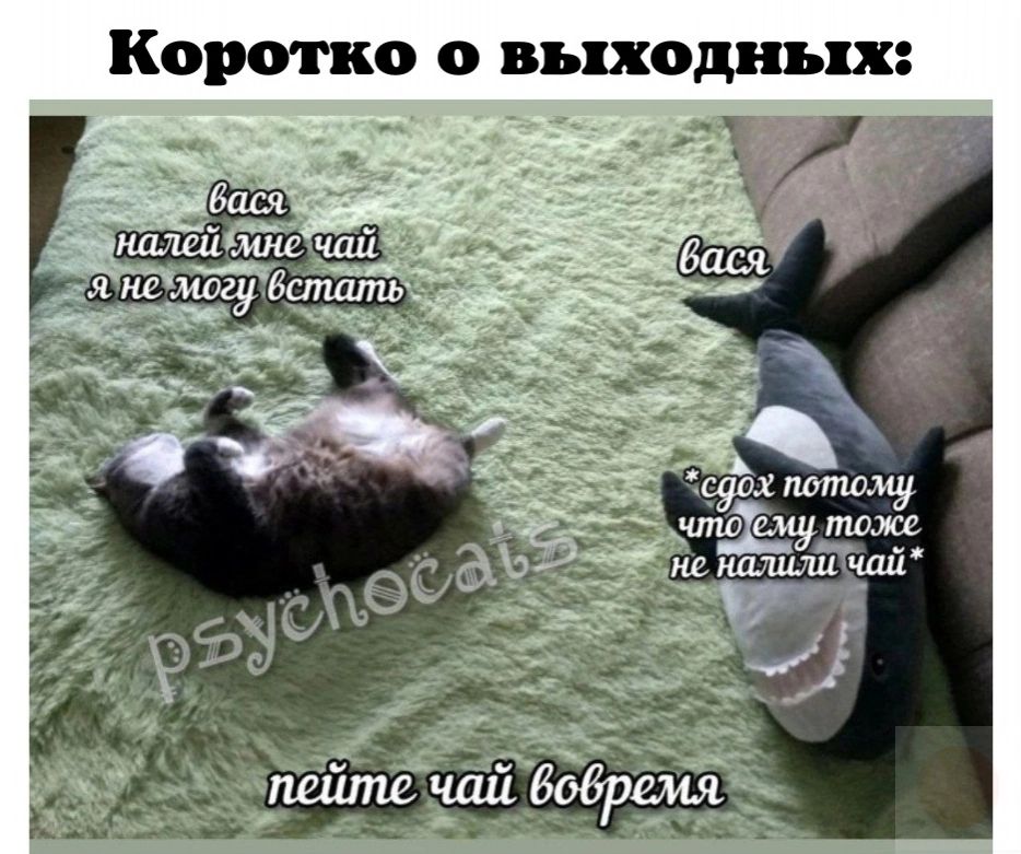 Коротко О ВБШОДД ШШЗ