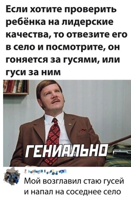 Если хотите проверить ребёнка на лидерские качества то отвезите его в село и посмотрите он гоняется за гусями или гуси за ним плц Мой возглавил стаю гусей и напал на соседнее село