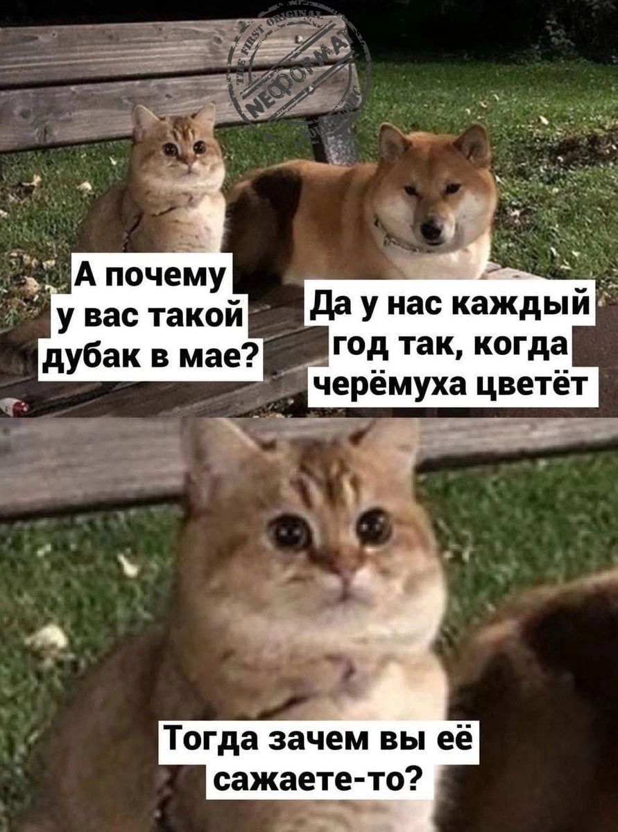 Тогда зачем вы её сажаете то