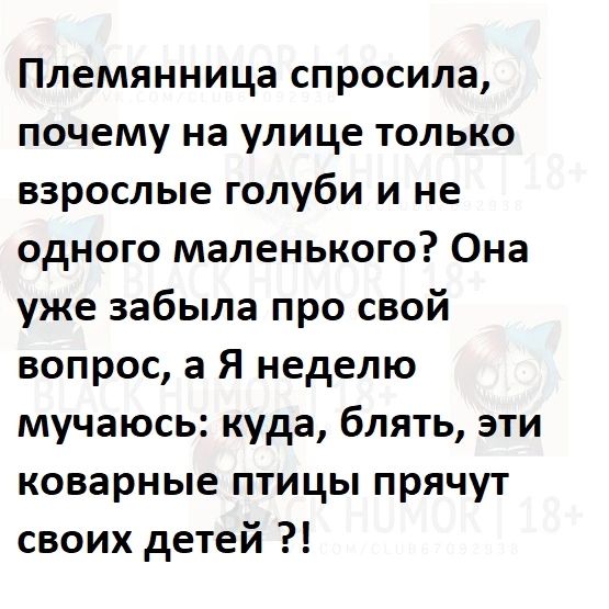 Племянница спросила почему на улице только взрослые голуби и не одного маленького Она уже забыла про свой вопрос а Я неделю мучаюсь куда блять эти коварные птицы прячут своих детей