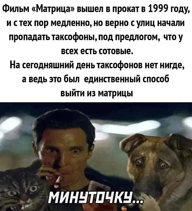 Фильм Матрица вышел в прокат в 1999 году и с тех пор медленно но верно улиц начали пропадать таксофоны под предлогом что у ВКЕХ ЕСТЬ СОТОВЫЕ На сегодняшний день таксофонов нет нигде а ведь это был единственный способ выйти из матрицы гп Миннтпчкн