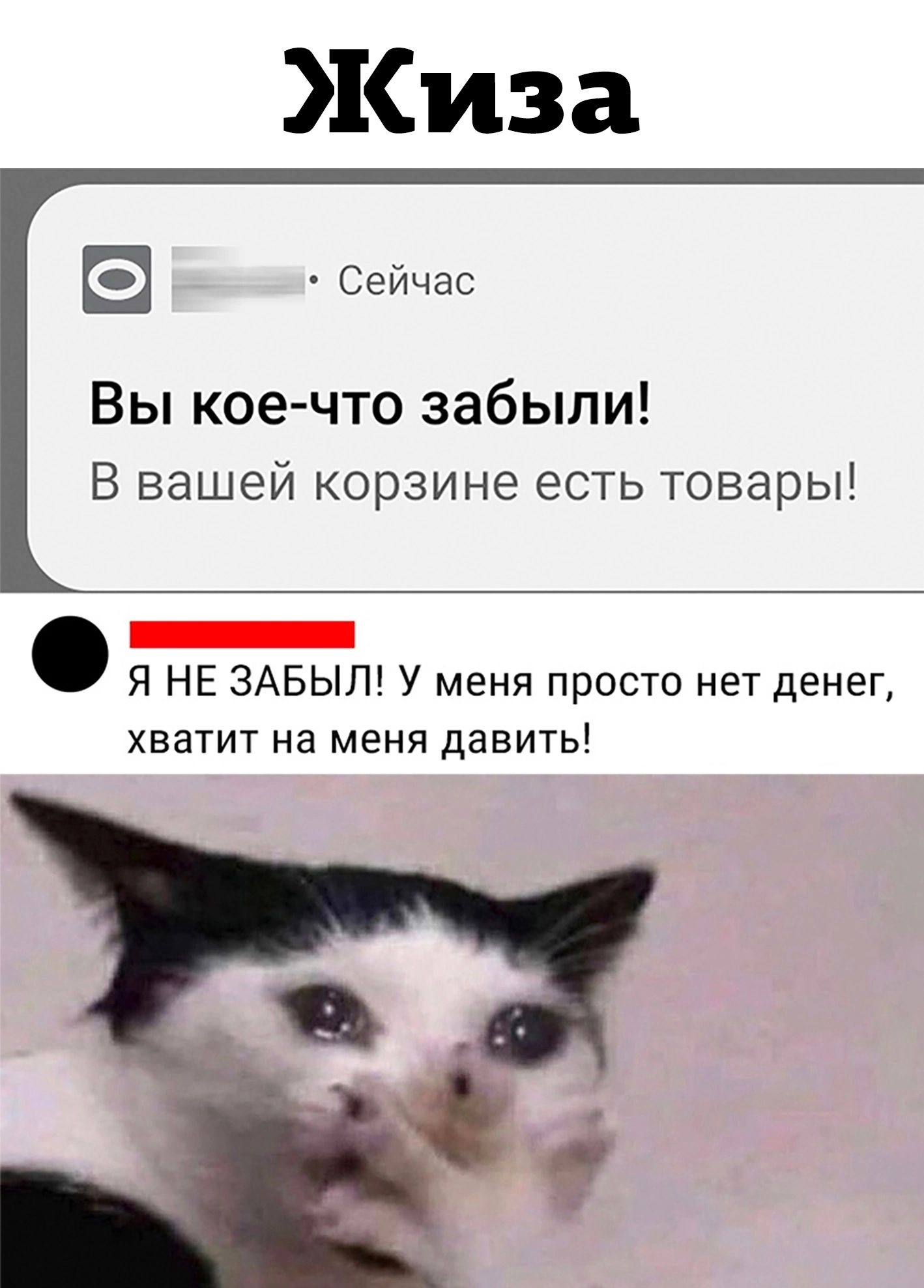 Жива Сейчас Вы кое что забыли В вашей корзине есть товары _ Я НЕ ЗАБЫЛ У меня просто нет денег хватит на меня давить