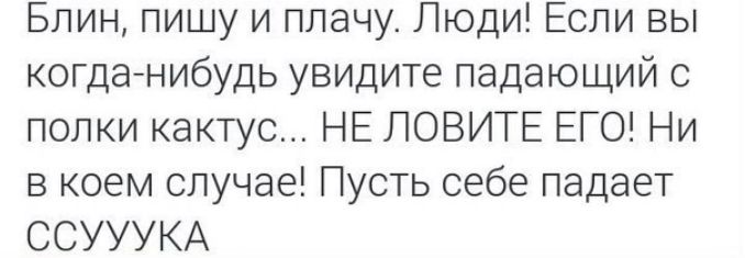 Блин пишу и плачу Люди Если вы когдаінибудь увидите падающий с полки кактус НЕ ЛОВИТЕ ЕГО Ни в коем случае Пусть себе падает ССУУУКА