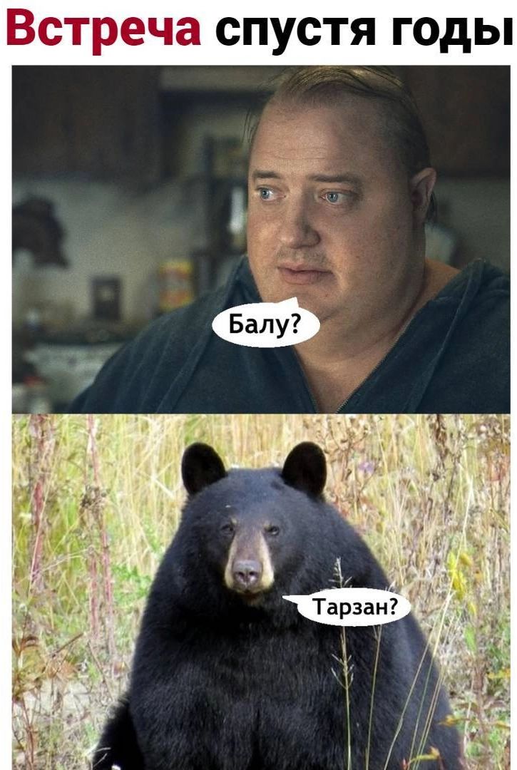 Встреча спустя годы