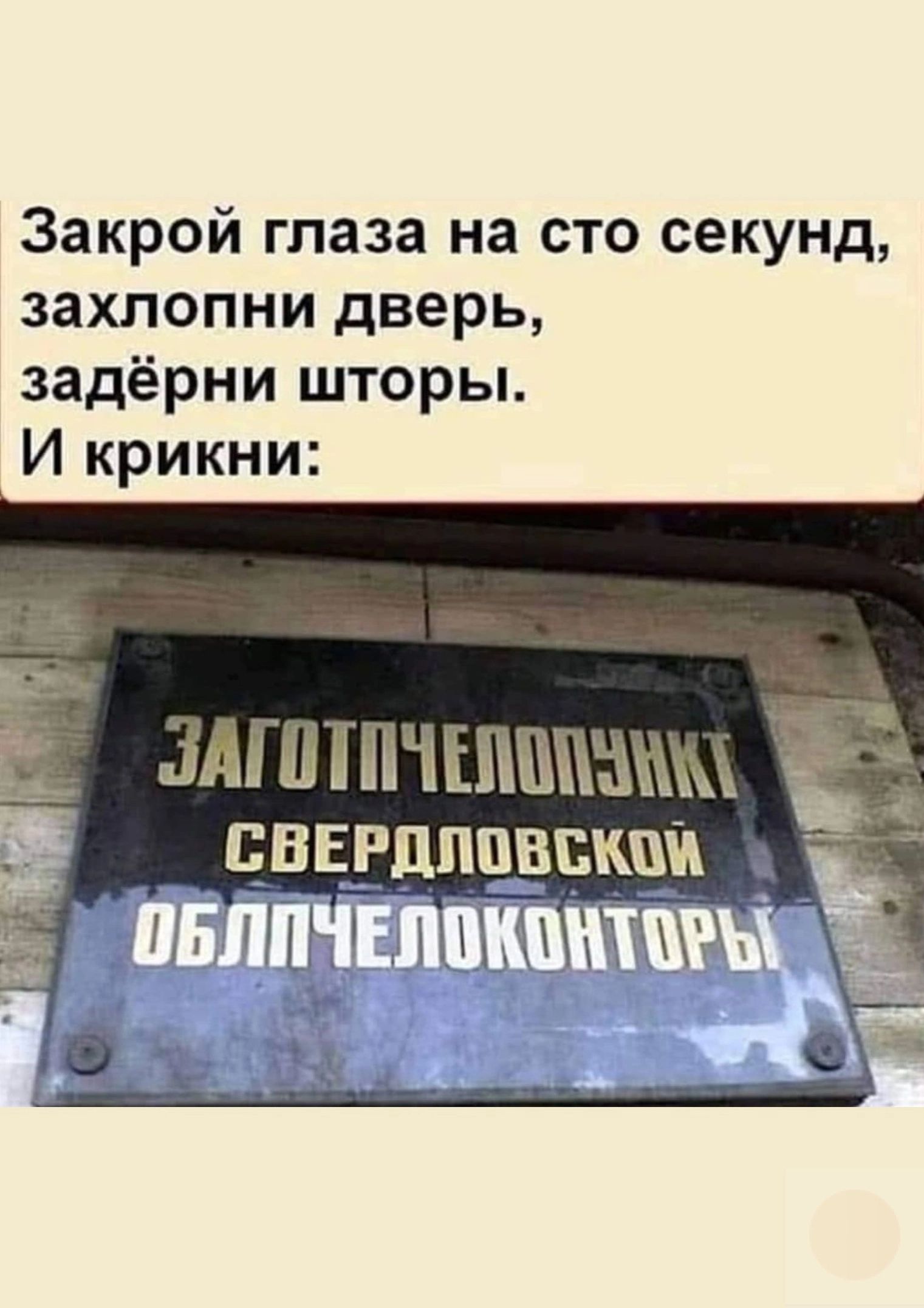 Закрой глаза на сто секунд захлопни дверь задёрни шторы И крикни мммцнгмшмишиы ЧВЕЗДШШЁЁЭЕ дн 31