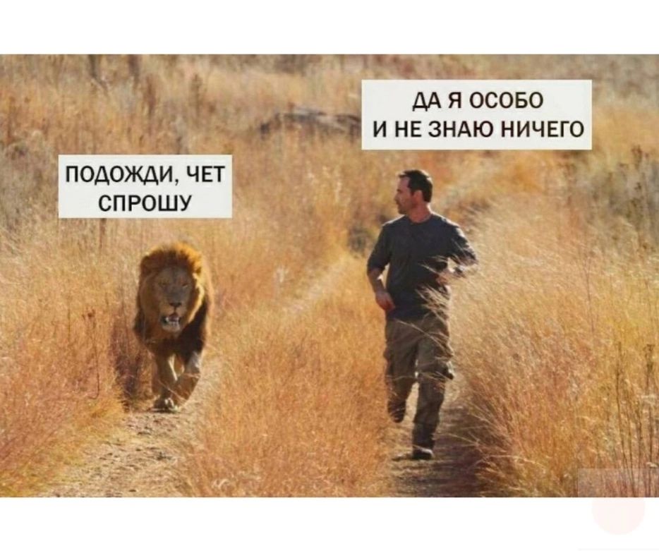 _ сд _і М Я осово и не зндю ничего Эподожди чп СПРОШУ