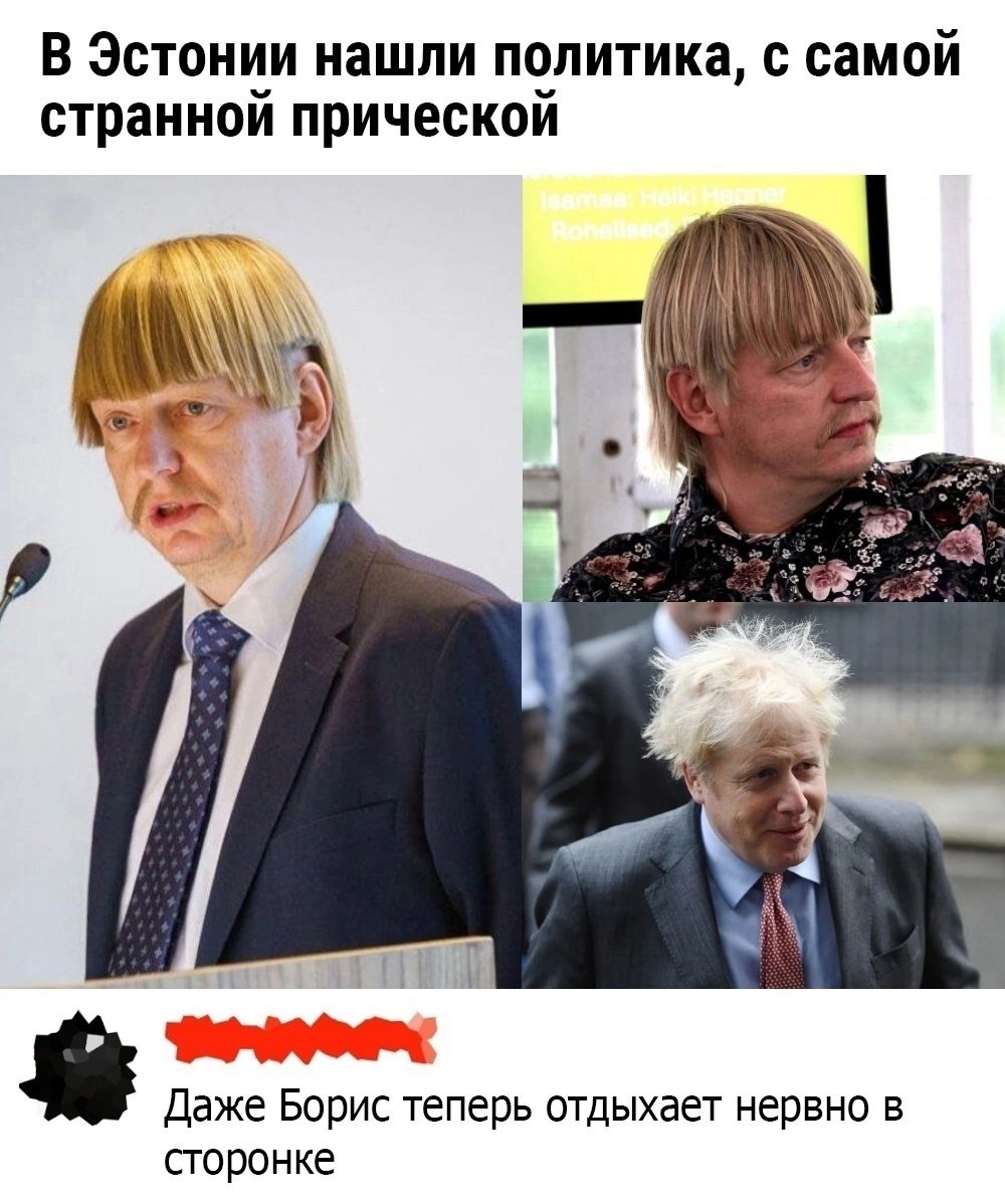 В Эстонии нашли политика с самой страннои прическои Даже Борис теперь отдыхает нервно в сгоронке