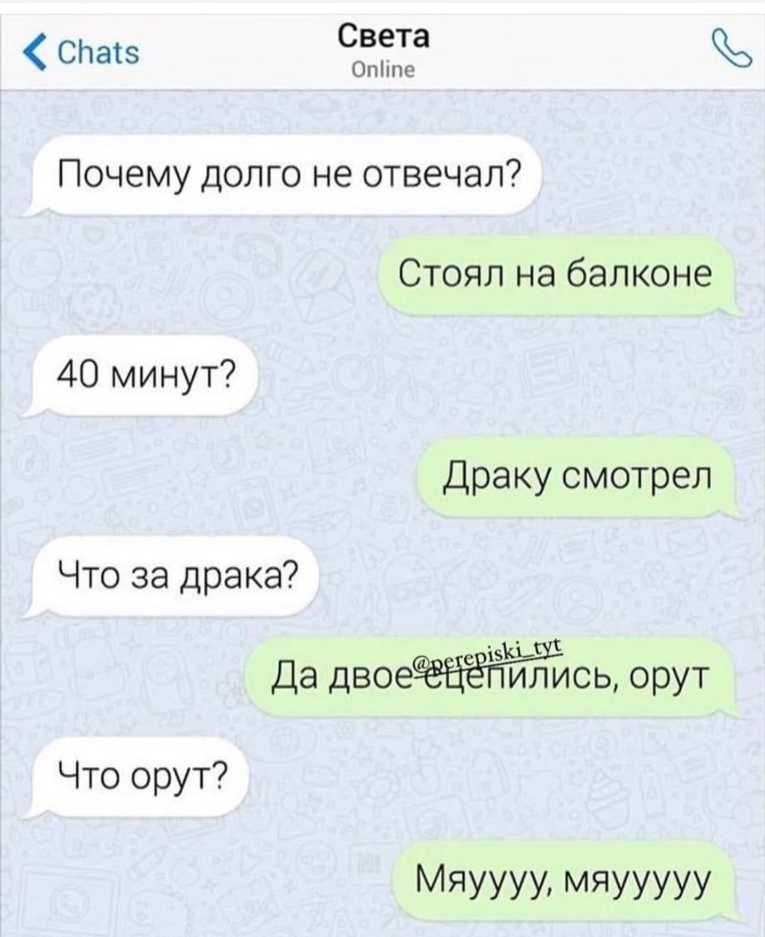 снаіэ Света Почему долго не отвечал Стоял на балконе 40 минут Драку смотрел Что за драка Да двось орут Что орут Мяуууу мяууууу