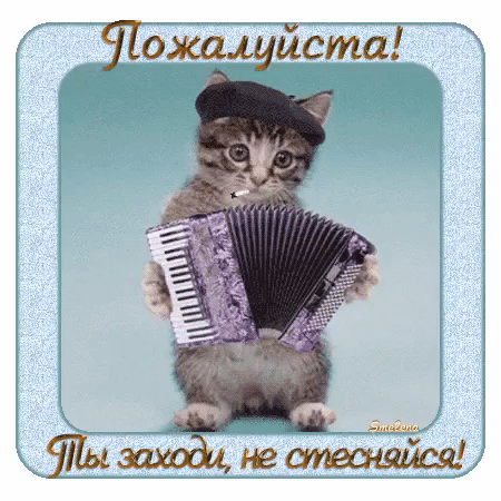 Шджащйста