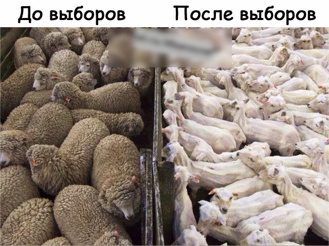 До выборов После выборов _ ___ Ч Др