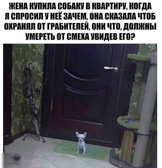 ЖЕНА ШШШ ЦВМ В МПИ ШШШ П ШРПБИЛ НЕЁ ШШШ ШШ БМЗМШ ЧТОБ ШШШШ от ГРАБИТЕПЕЙ ШШ ЧП дПШНЫ МЕРЕ Ш ЦМВИ ивидів ЕП