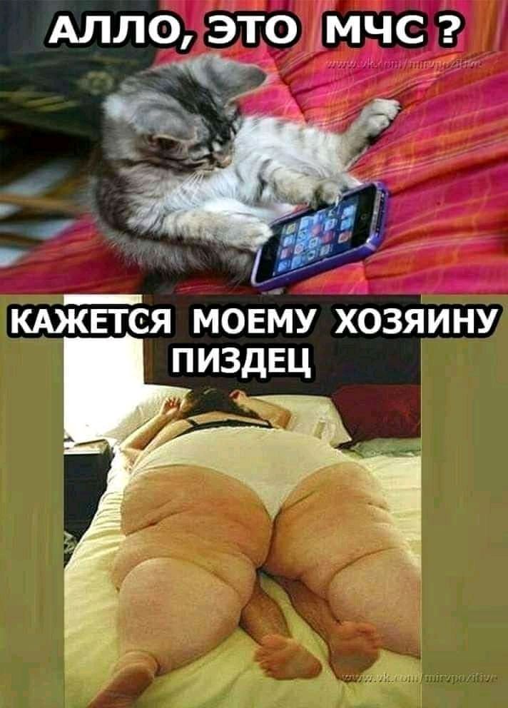АЛЛО это Амчс