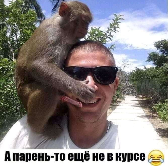 п папенть о еіцё не в щите