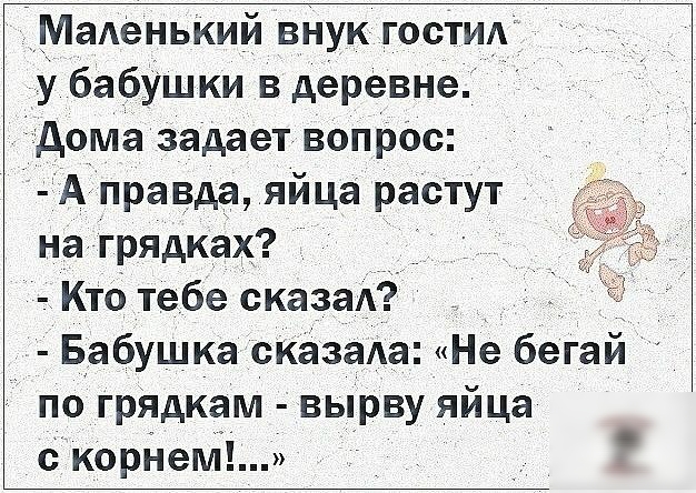 МаАЕНЬКИЙ вНук гостиА у бабУшки в деревне дома задает вопрОс А правда яйца растут на грядках Кто тебе сказаА _ Бабушка сказаАа Не бегай по грядкам вырву яйца с корнет