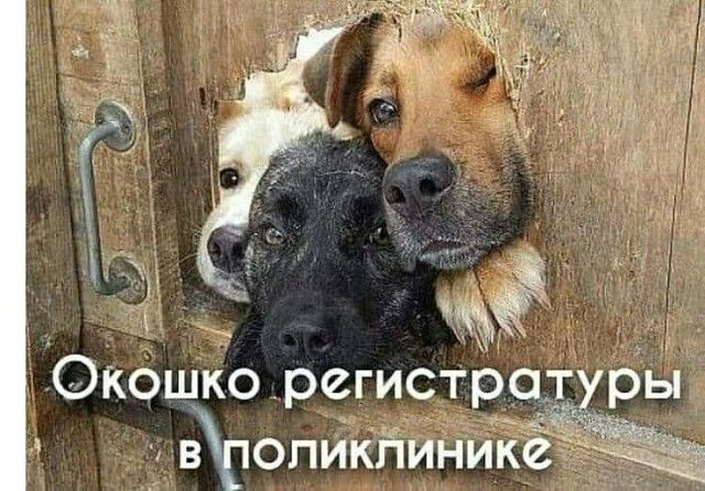 Окошко регистра юпикйинйкё