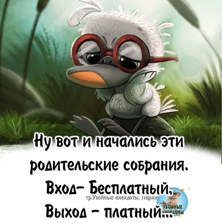 родительские соврания Вход Беспдатный гр Уьш Мые анеклиы гифки Выход платныйш И
