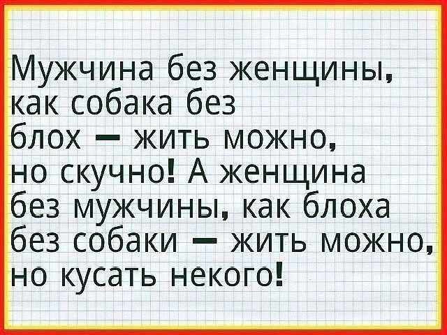 Мужчина без женщины как собака без блох жить можно но скучно А женщина без мужчины как блоха без собаки жить можно но кусать некого