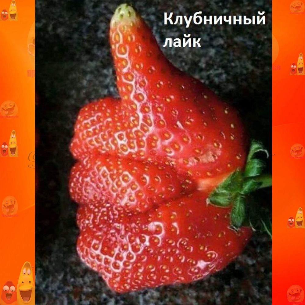 __ бничныи лу ін