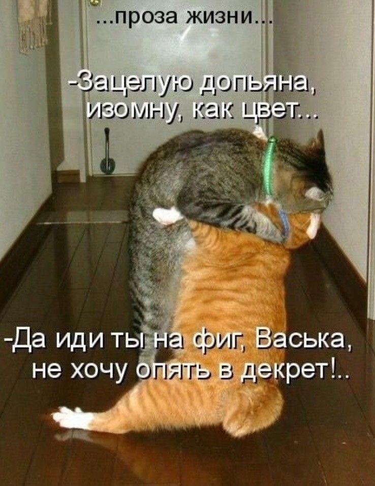 С целую допь АЭОМНУ как И _