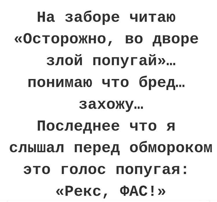 На заборе читаю Осторожно во дворе злой попугай понимаю что бред захожу Последнее что я слышал перед обмороком это голос попугая Рекс ФАС